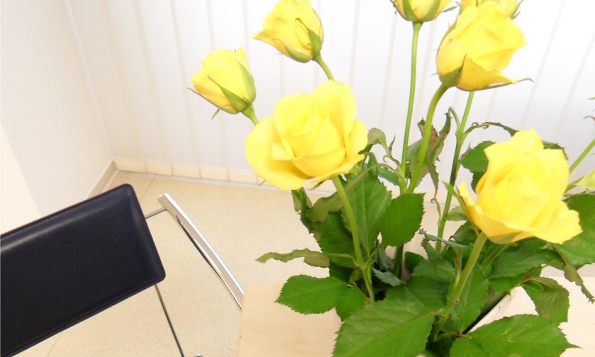 Ästhetische Dermatologie in der Praxis Dr. Raussen